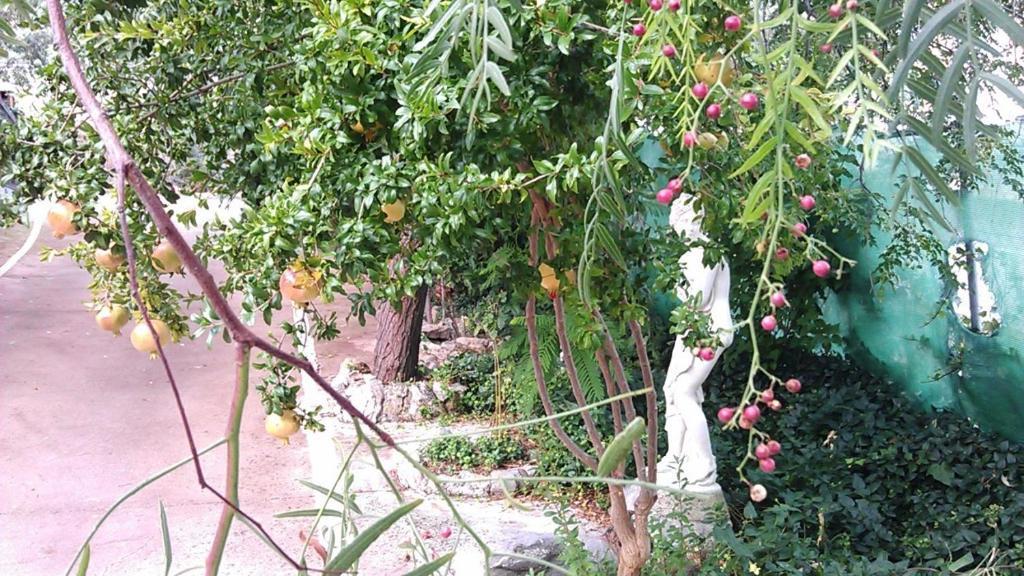 خاين Alojamiento Rural La Caseria De Piedra Restaurante المظهر الخارجي الصورة