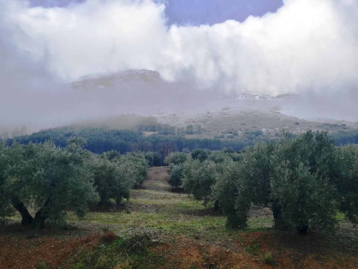 خاين Alojamiento Rural La Caseria De Piedra Restaurante المظهر الخارجي الصورة